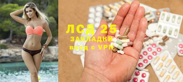 стаф Баксан