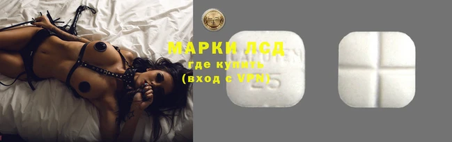 стаф Баксан