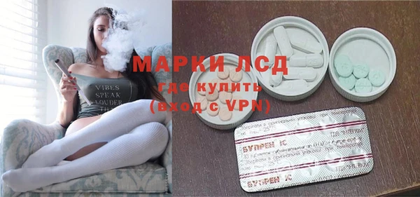 стаф Баксан